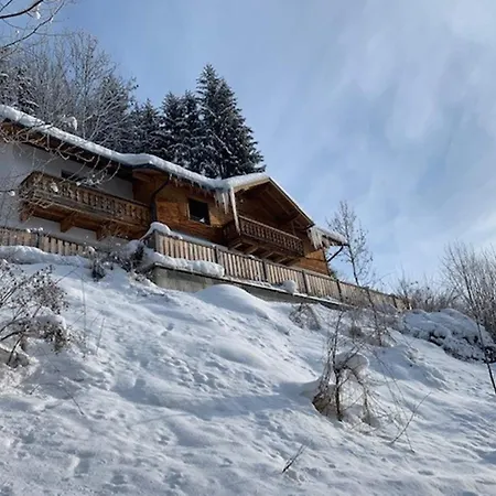 In Bruck Near Zell Am Slopes, Cleaning Included Alpstuga